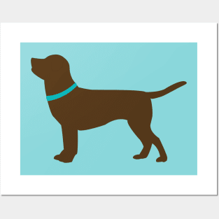 Chocolate labrador retriever Posters and Art